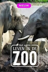 Het Echte Leven in de ZOO