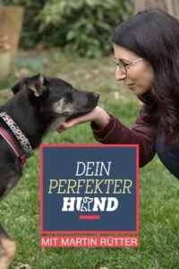 Dein perfekter Hund